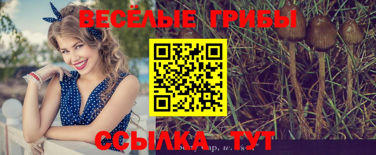 Галлюциногенные грибы MAGIC MUSHROOMS Луховицы